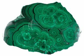 Flowery Polished Malachite Slab - DR Congo #286705