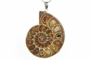 Jewelry With Fossils For Sale