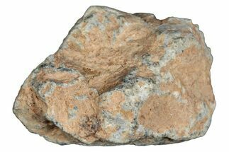 Lunar Meteorite ( g) - Bechar #288516