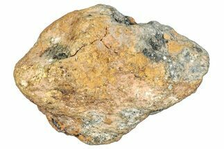 Howardite Meteorite ( g) - Bechar #288534
