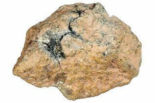 Howardite Meteorites For Sale