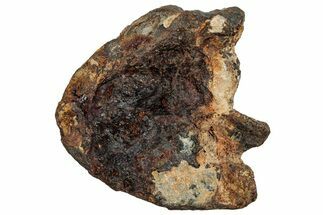 Agoudal Iron Meteorite ( g) - Morocco #288881