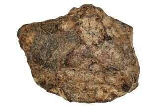 Agoudal Iron Meteorite ( g) - Morocco #288896