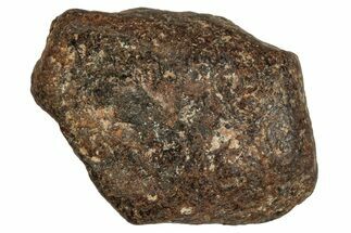 Agoudal Iron Meteorite ( g) - Morocco #288903