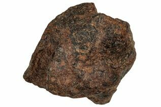 Agoudal Meteorites For Sale