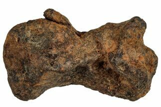 Agoudal Iron Meteorite ( g) - Morocco #288925