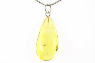Polished Baltic Amber Pendant (Necklace) - Contains Fly! #288714