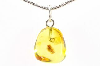 Polished Baltic Amber Pendant (Necklace) - Contains Fly! #288774