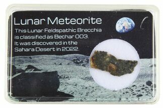 Polished Lunar Meteorite Slice ( g) - Bechar #288448