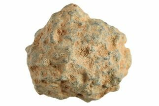 Lunar Meteorite ( g) - Bechar #288454