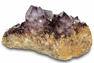 Dark Cactus Amethyst Crystal Cluster - South Africa #289806
