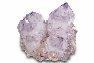 Spectacular Cactus Amethyst Crystal Cluster - South Africa #289832