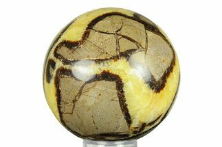 Polished Septarian Sphere - Madagascar #289933