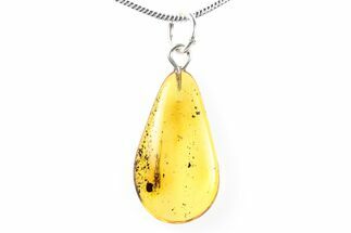 Polished Baltic Amber Pendant (Necklace) - Contains Fly! #288838