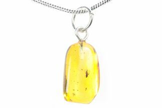 Polished Baltic Amber Pendant (Necklace) - Contains Fly & Mite! #288849