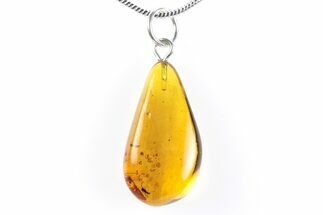 Polished Baltic Amber Pendant (Necklace) - Contains Fly! #288851