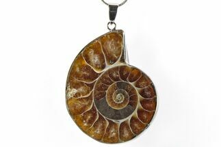 Fossil Ammonite Pendant - Million Years Old #290145