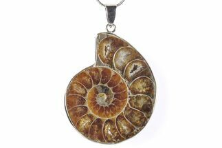 Fossil Ammonite Pendant - Million Years Old #290151