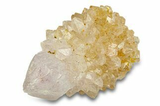 Sparkling Cactus Amethyst Crystal Cluster - South Africa #290226