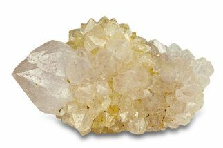 Sparkling Cactus Amethyst Crystal Cluster - South Africa #290230