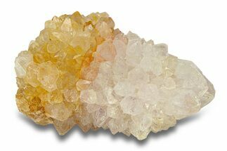 Sparkling Cactus Amethyst Crystal Cluster - South Africa #290232