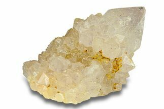 Sparkling Cactus Amethyst Crystal Cluster - South Africa #290240