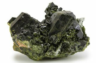 Lustrous Epidote Crystals on Actinolite - Pakistan #290470
