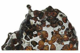 Polished Sericho Pallasite Meteorite ( g) Slice - Kenya #291264