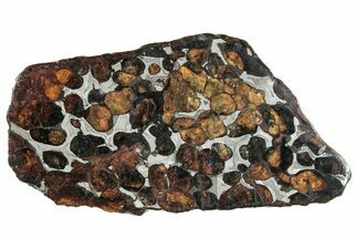 Polished Sericho Pallasite Meteorite ( g) Slice - Kenya #291273