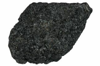 Carbonaceous Chondrite Meteorite Fragment ( g) - NWA #291374