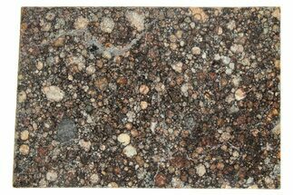 LL Chondrite Meteorite ( g) Slice - NWA #291400