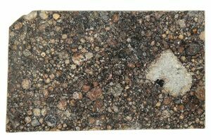トーンヌール 12個　¥12800 NWA 10255 Stone Meteorite 89g