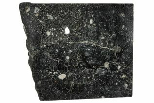 Starry Night Meteorites For Sale