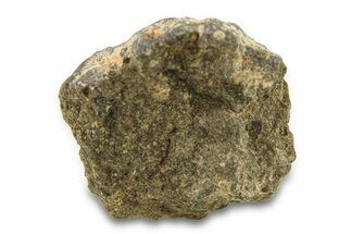 Abadla CM Chondrite Meteorite ( g) - Algeria #291505
