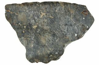 Lunar Meteorite ( g) Slice - Laayoune #291642