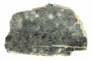 Lunar Meteorite ( g) Slice - Bechar #291670