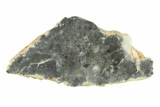 Lunar Meteorite ( g) Slice - Bechar #291690