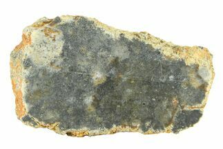 Lunar Meteorite ( g) Slice - Bechar #291694