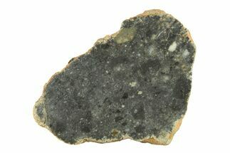 Lunar Meteorite ( g) Slice - Bechar #291696