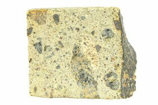 Diogenite Meteorite ( g) Slice - From Vesta Micro-Planet! #291742