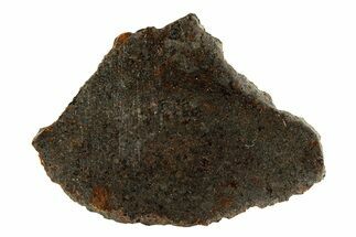 Polished Rafsa Angrite Meteorite Slice ( g) - Algeria #291759