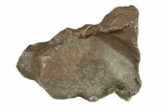 Gebel Kamil Iron Meteorite ( g) - Egypt #291793