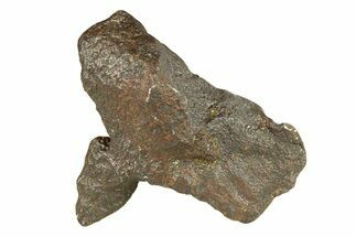 Gebel Kamil Iron Meteorite ( g) - Egypt #291821