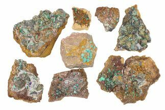 Clearance Lot: Sparkling Rosasite & Galena Clusters - Pieces #291995