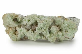 Green, Bladed Prehnite Crystals with Quartz - Morocco #292260