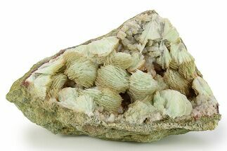 Green, Bladed Prehnite Crystals with Quartz - Morocco #292263