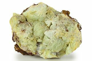 Green, Bladed Prehnite Crystals with Quartz - Morocco #292276