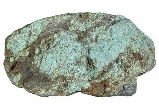 Tumbled Turquoise Section - Number Mine, Carlin, NV #292278
