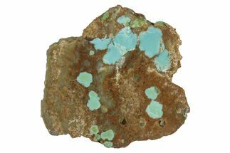 Polished Turquoise Section - Number Mine, Carlin, NV #292326