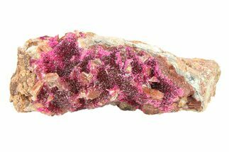 Fibrous, Magenta Erythrite over Calcite - Morocco #291150